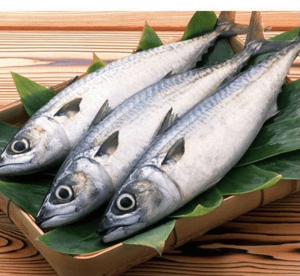 Surmai Fish